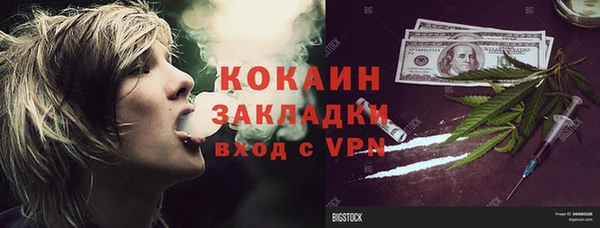 дурь Алексин