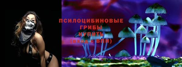 дурь Алексин