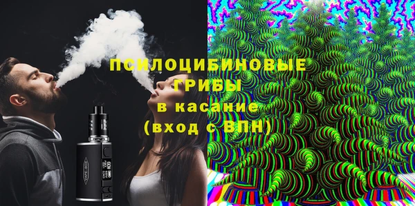 дурь Алексин