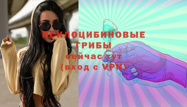 дурь Алексин